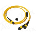 MPO-MPO Fibra Patch Cord